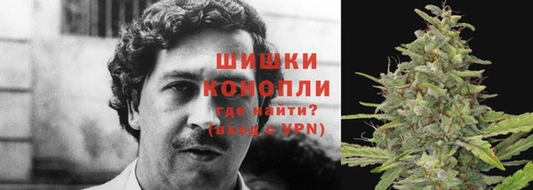 герыч Арсеньев