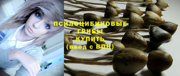 винт Балахна