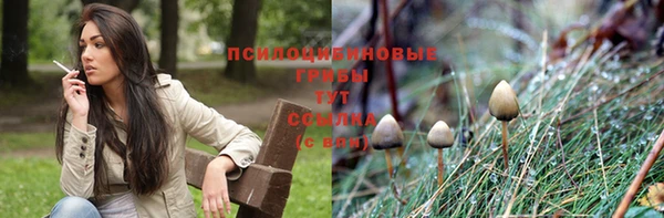 соль ск Баксан