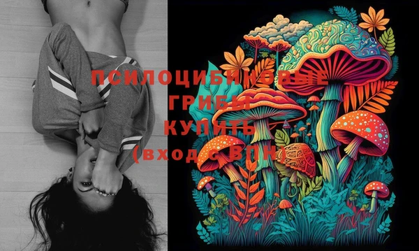 винт Балахна